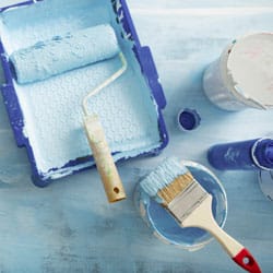 Interior Renewal. Tray, Roller And Brush For Painting